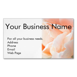 Magnetic Business Cards - Self Promotion