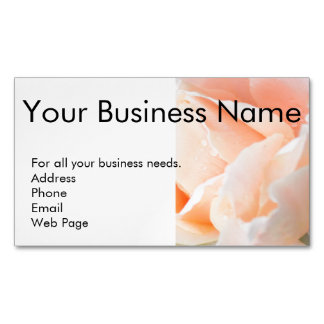Magnetic Business Cards - Self Promotion