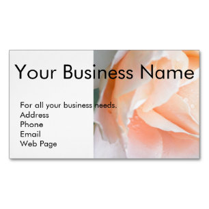 Magnetic Business Cards - Self Promotion