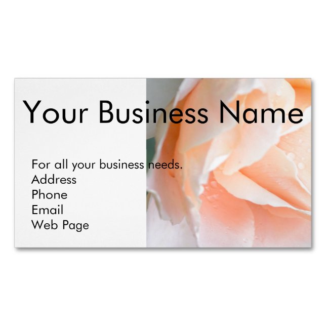 Magnetic Business Cards - Self Promotion (Front)