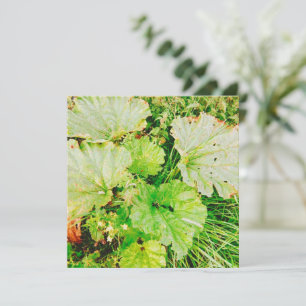 Magnetic Card
