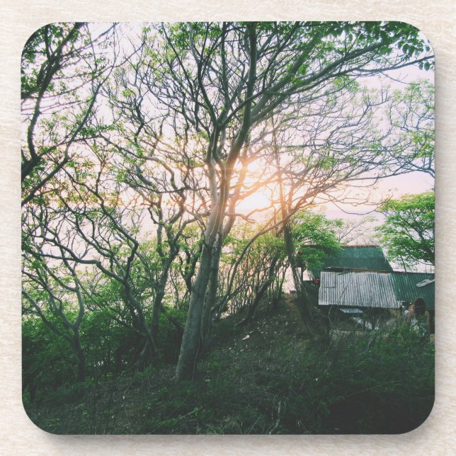 Magnetic Card Coaster (Front)