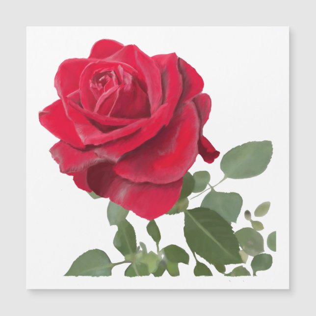 Magnetic Card of a Hand-painted Red Rose (Front)
