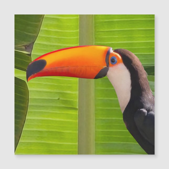 Magnetic card with Tucano design (Front)