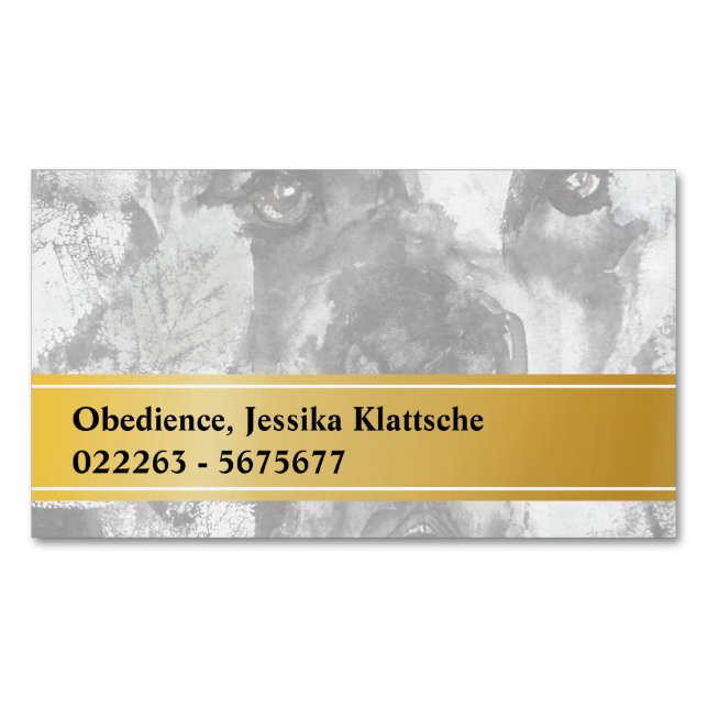 Magnetic Cards (Front)