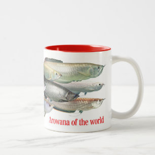 Magnetic cup of arowana of the world