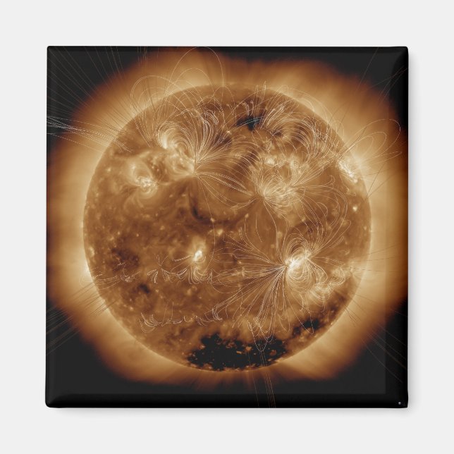 Magnetic field lines on the Sun 2 Magnet (Front)