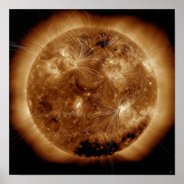 Magnetic field lines on the Sun 2 Poster (Front)