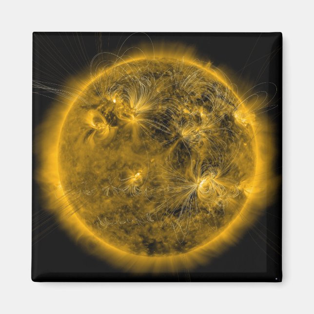 Magnetic field lines on the Sun Magnet (Front)