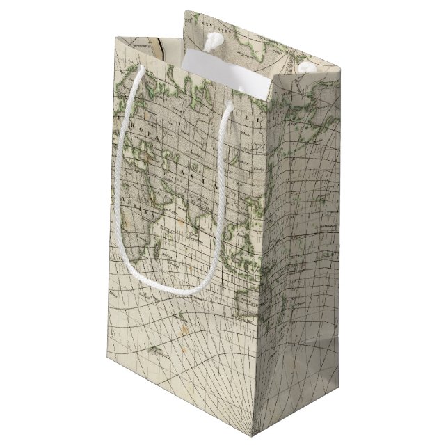Magnetic Map of the World Small Gift Bag (Back Angled)