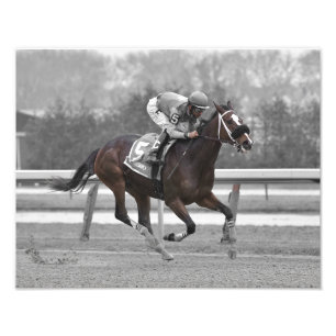 Magnetique Photo Print