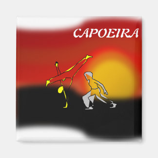 magnets capoeira martial arts axe ginga