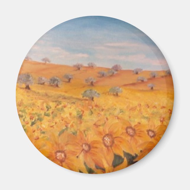 MAGNETS / IMANS (Front)