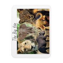 magnets kenya big five