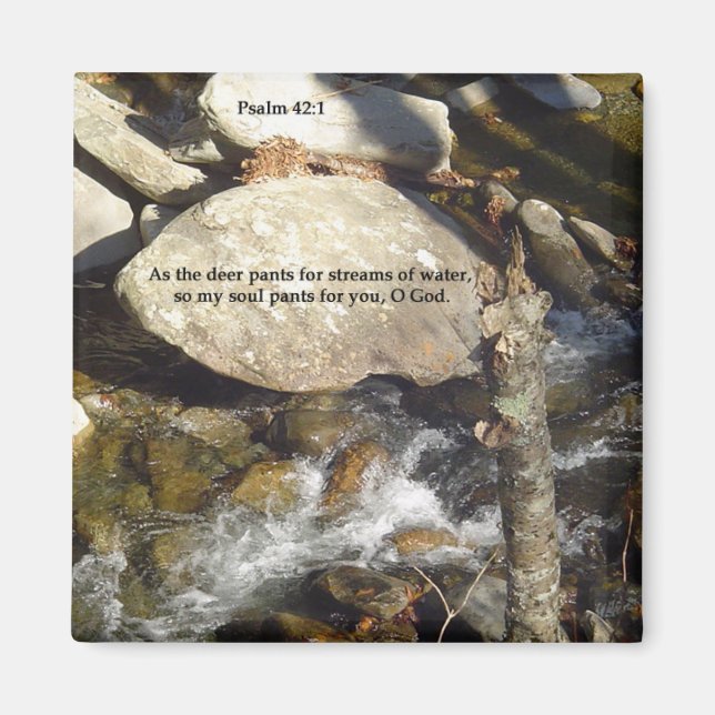 Magnets: Stream Psalm Magnet (Front)