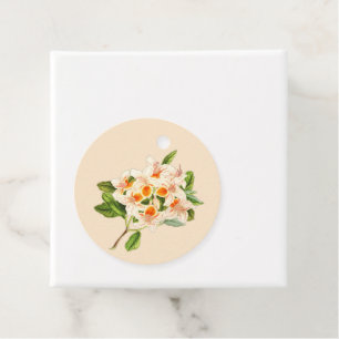 Magnificent azalea, Floral orange Favour Tags