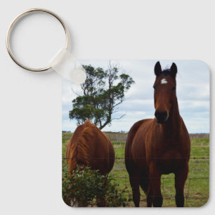 Magnificent Big Brown Horse, Key Ring