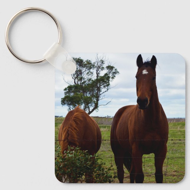 Magnificent Big Brown Horse, Key Ring (Front)