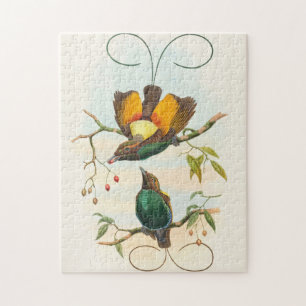 Magnificent Bird of Paradise by John Gould Jigsaw Puzzle