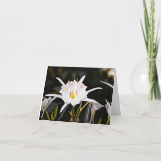 Magnificent Cahaba Lily Thinking Of You Thank You Card