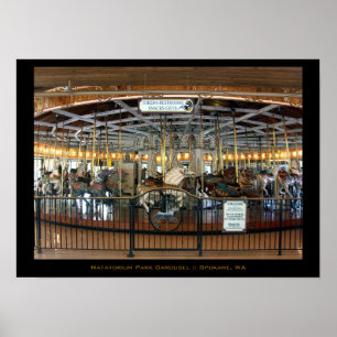 Magnificent Carousel poster