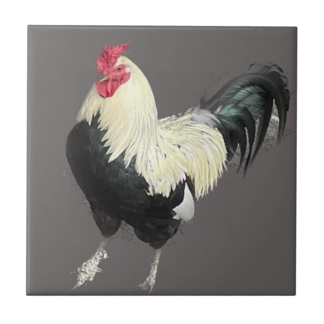 Magnificent Cockerel No 1   Ceramic Tile (Front)