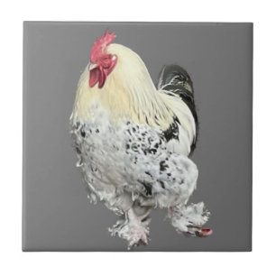 Magnificent Cockerel No 2 Ceramic Tile