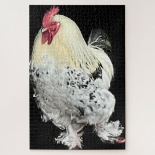 Magnificent Cockerel No 2 Jigsaw Puzzle