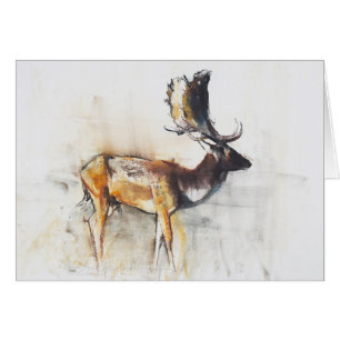 Magnificent Fallow Buck 2006