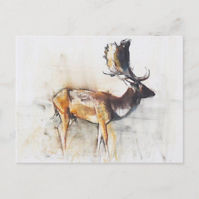 Magnificent Fallow Buck 2006 Postcard (Front)