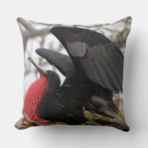 Magnificent Frigate Bird Cushion