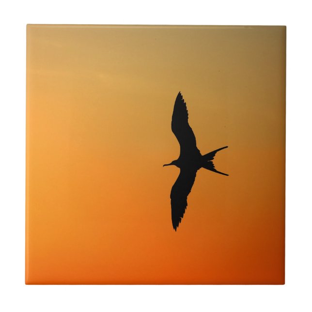 Magnificent frigate bird flying orange sunset tile (Front)