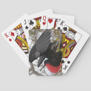 Magnificent Frigate Bird Playing Cards