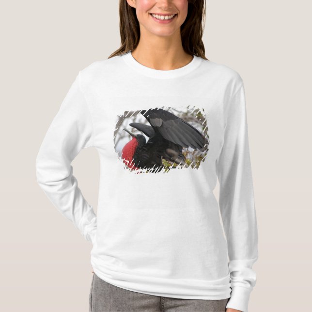 Magnificent Frigate Bird T-Shirt (Front)