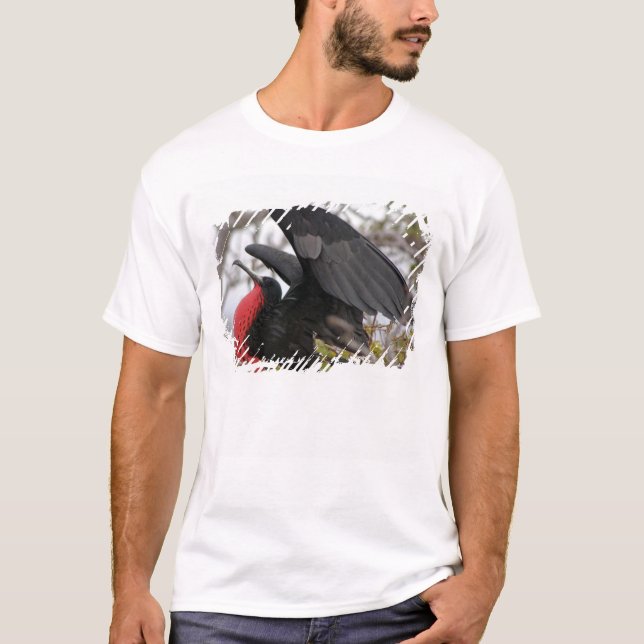 Magnificent Frigate Bird T-Shirt (Front)