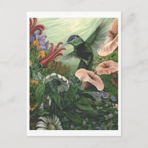 Magnificent Garden Postcard