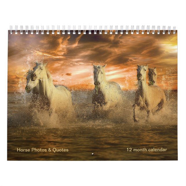 Magnificent Horses & Equine Quotes 12 month Calendar (Cover)