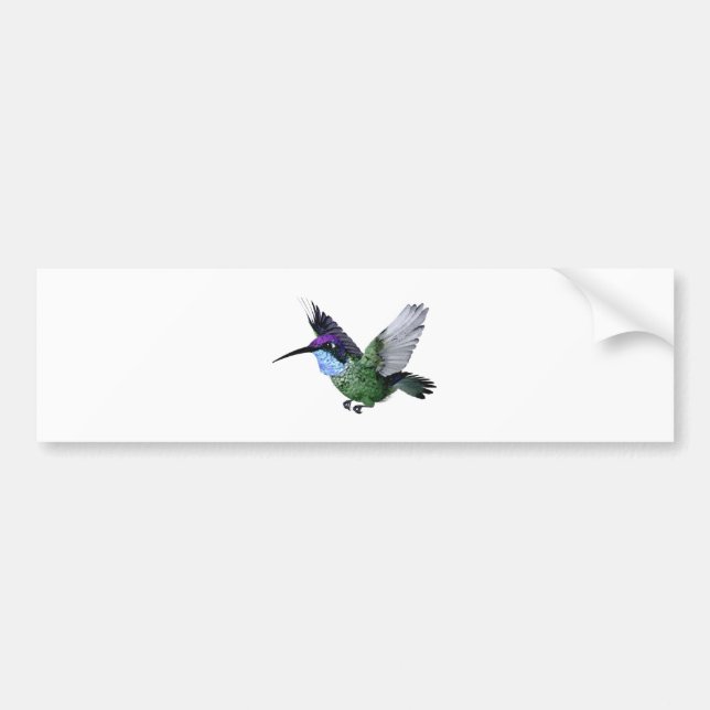 Magnificent Hummingbird Bumper Sticker (Front)