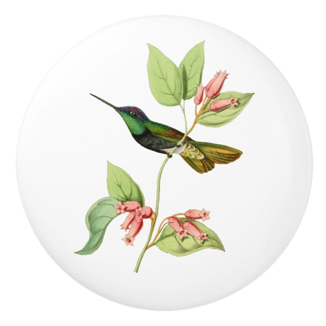 Magnificent Hummingbird Ceramic Knob (Front)