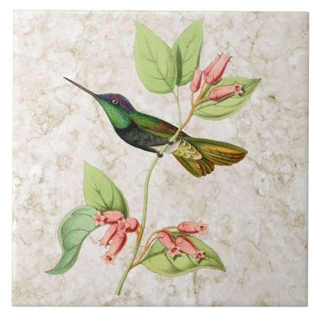 Magnificent Hummingbird Ceramic Tile (Front)