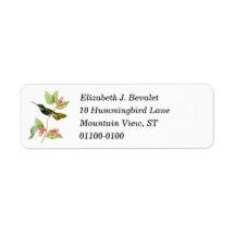 Magnificent Hummingbird Return Address Label