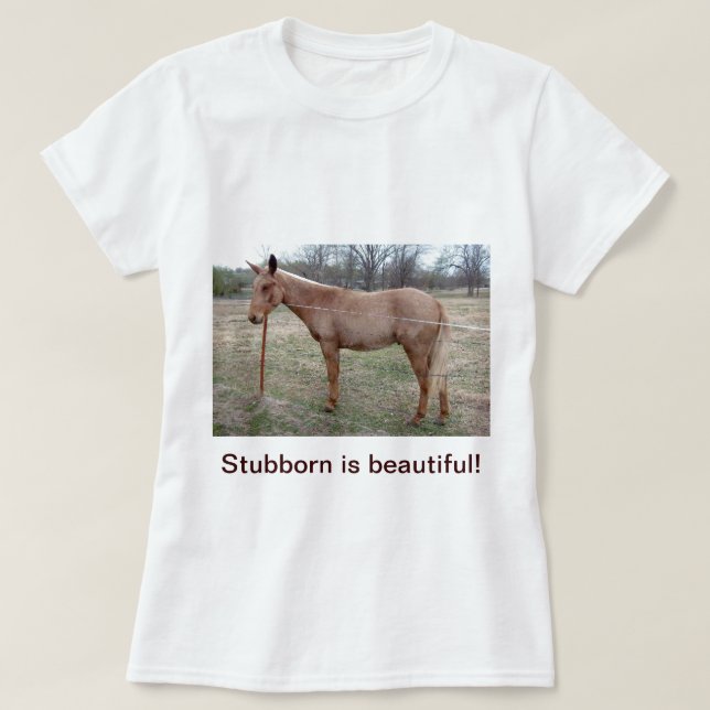 Magnificent Mule! Ladies T-shirt (Design Front)