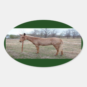 Magnificent Mule! Oval Sticker