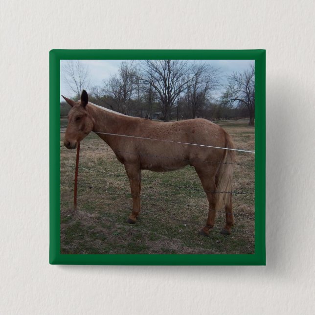 Magnificent Mule! Pin / Button (Front)