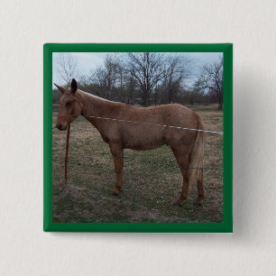 Magnificent Mule! Pin / Button
