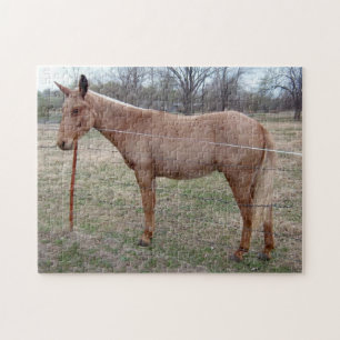Magnificent Mule! Puzzle