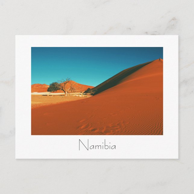 Magnificent Namibia Dune Sand View Postcard (Front)