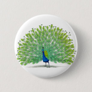 Magnificent Peacock Art 6 Cm Round Badge