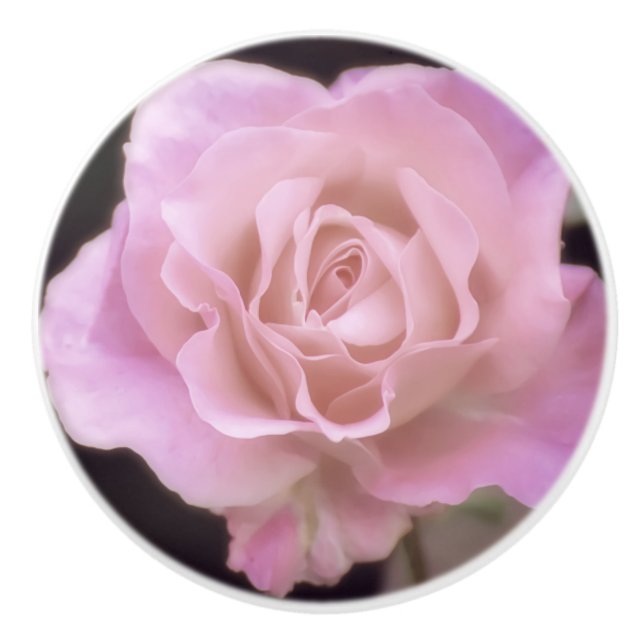 Magnificent Pink Rose Ceramic Knob (Front)