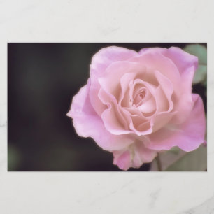 Magnificent Pink Rose Stationery